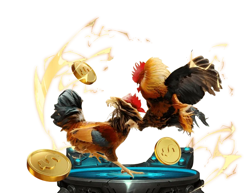 Hoàn Trả Cược Thua Đá Gà